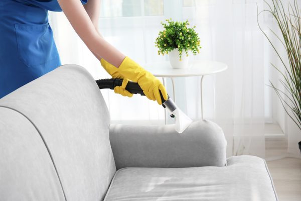 Professional Upholstery Cleaning Services Near You